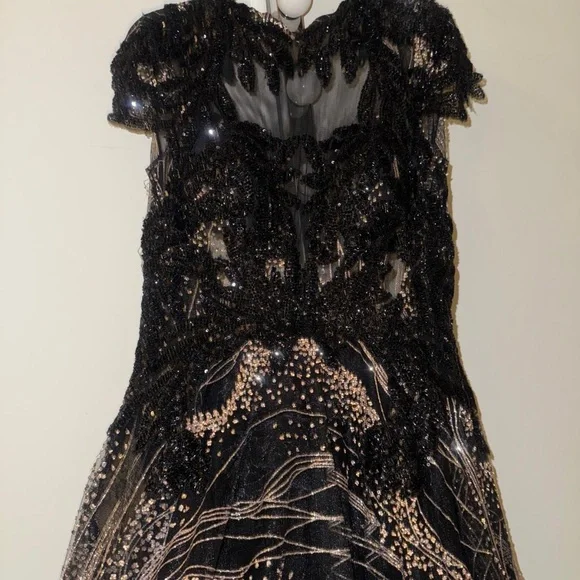 Party dresses - Picture 4 of 17